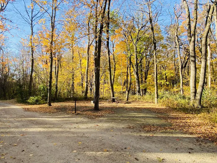 Rice Lake State Park Campground Picture 8