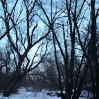 Creek Park ico