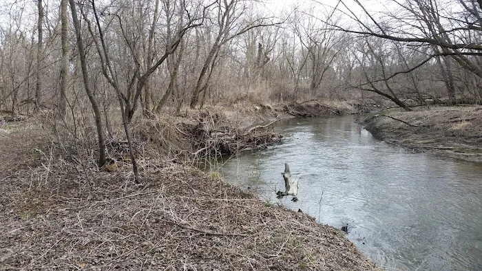 Creek Park Picture 4
