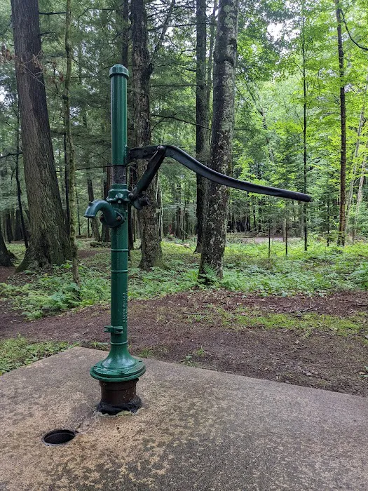 Pine Lake Campground Picture 7