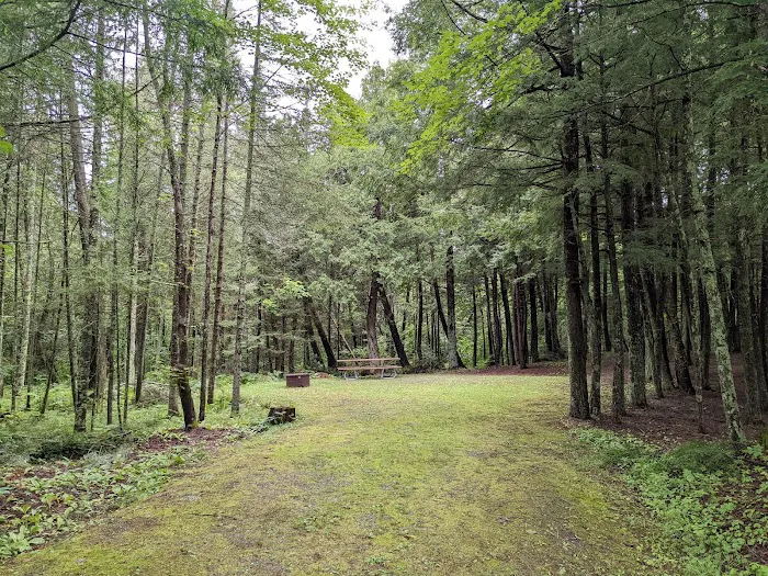 Pine Lake Campground Picture 2