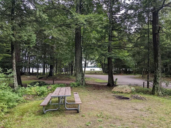 Pine Lake Campground Picture 6