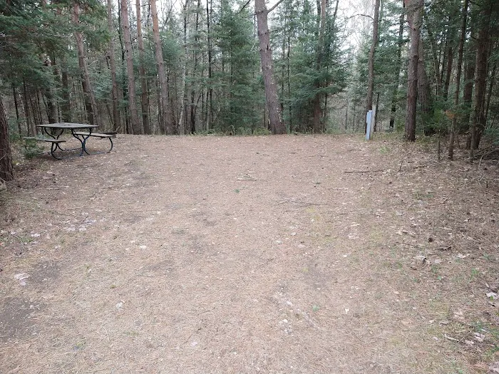 Hiles-Pine Lake Campground Picture 1