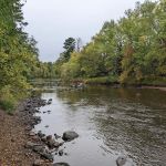 Cooper Dam Campground