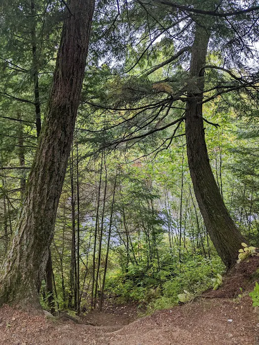 Cooper Dam Campground Picture 2