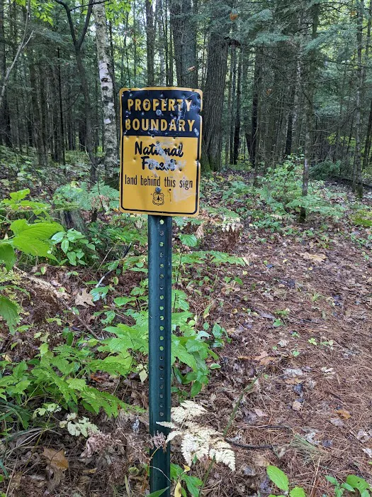 Cooper Dam Campground Picture 7