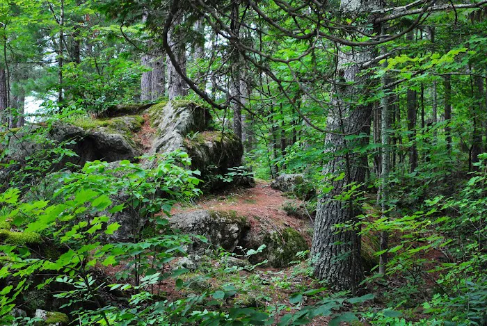 Big Falls County Park & Campground Picture 9