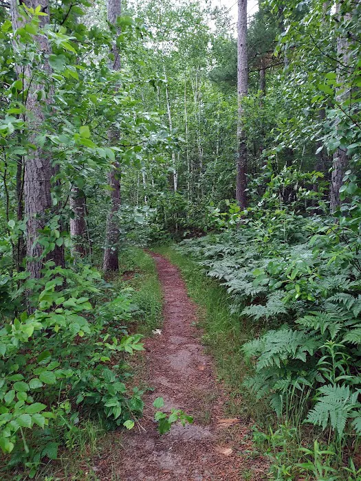 Big Falls County Park & Campground Picture 2
