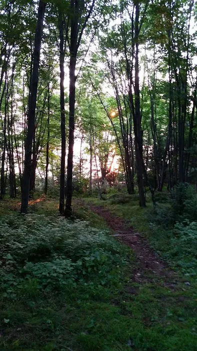 Willow Reservoir Campsite 27 Picture 8