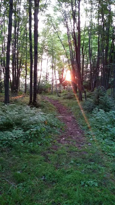 Willow Reservoir Campsite 27 Picture 7