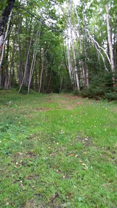 Willow Reservoir Campsite 27 Picture 4