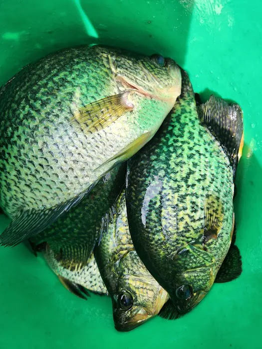 Willow’s End Resort & Campground Picture 2