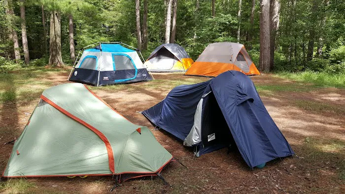 Willow Reservoir Group Site 1 Picture 6