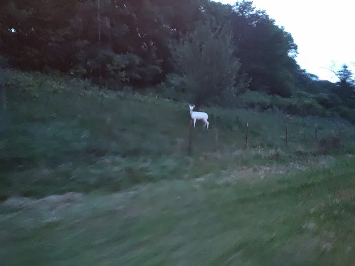 Summer Ridge RV Park Picture 7