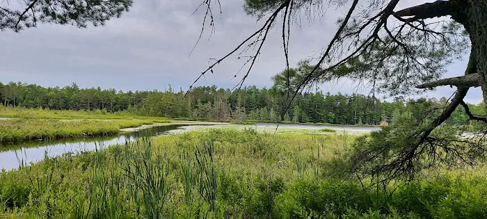 Laurel Lake Campground Picture 1