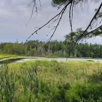 Laurel Lake Campground ico