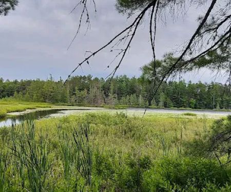Laurel Lake Campground