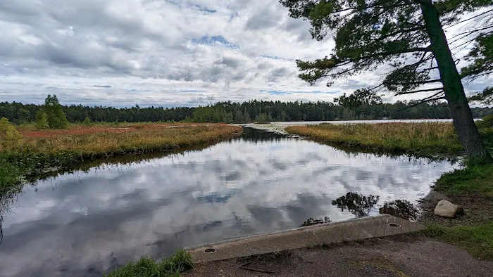 Laurel Lake Campground Picture 3