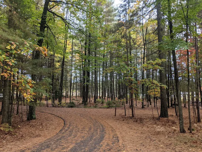 Laurel Lake Campground Picture 5