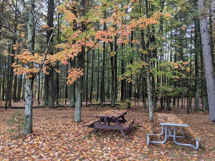 Laurel Lake Campground Picture 6