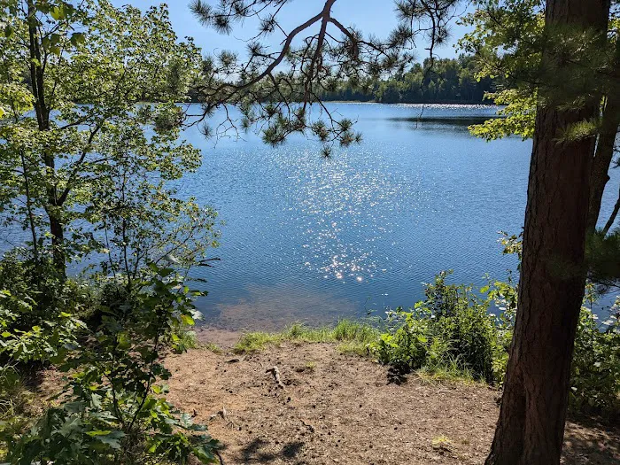 Cunard Lake Campground Picture 10