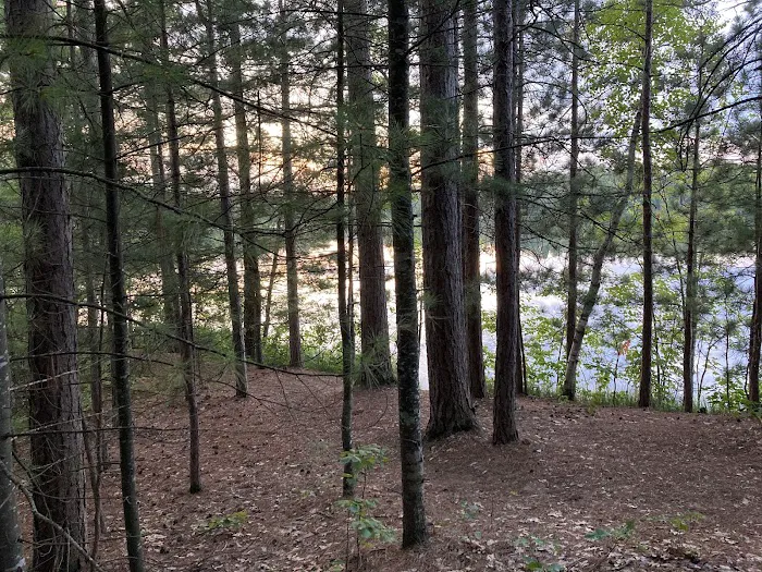 Cunard Lake Campground Picture 8