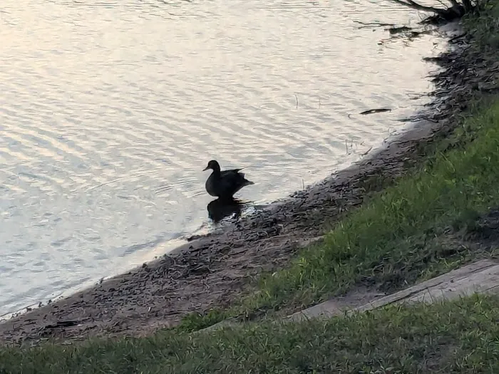 Buffalo Lake Campground Picture 5