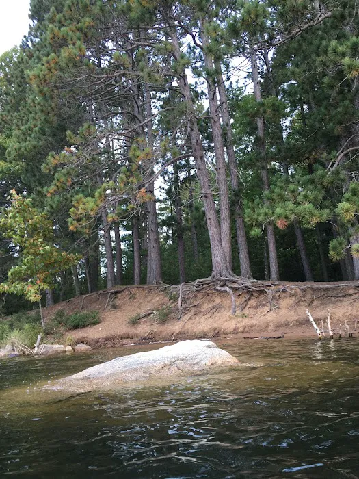 Buffalo Lake Campground Picture 10