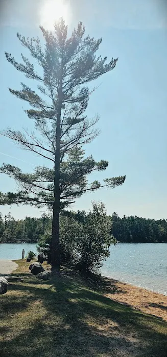 Buffalo Lake Campground Picture 6