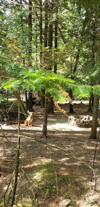 Indian Shores RV & Condominium Picture 9