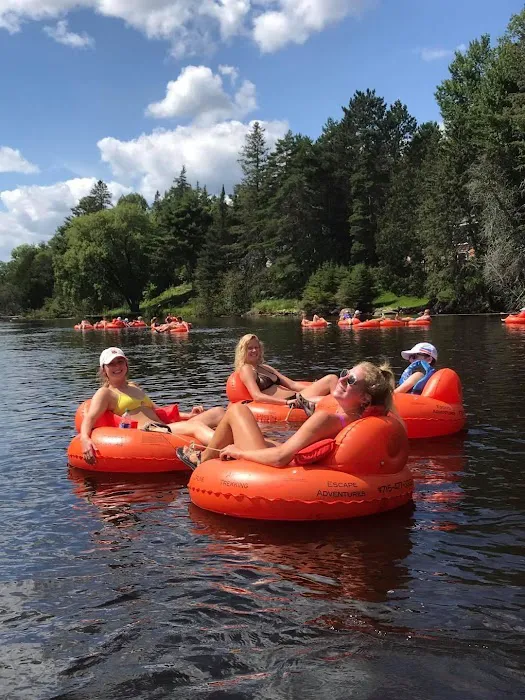 Lynn Ann's Campground Picture 2