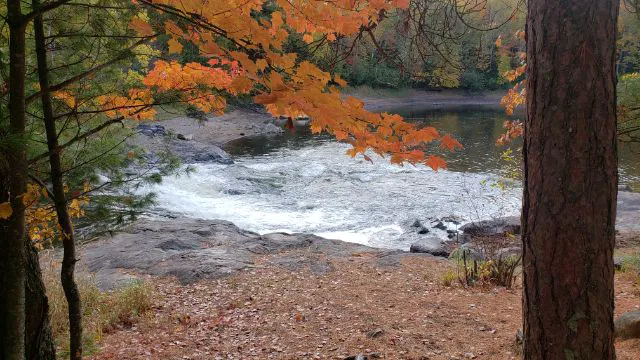 Cedar Falls Campground Picture 5