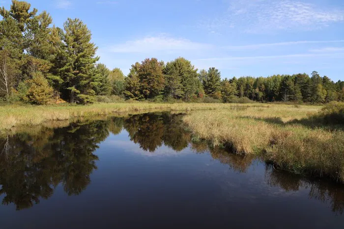 Cedar Falls Campground Picture 7