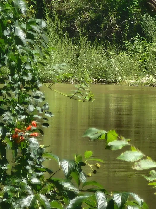 Country View Acres Picture 2