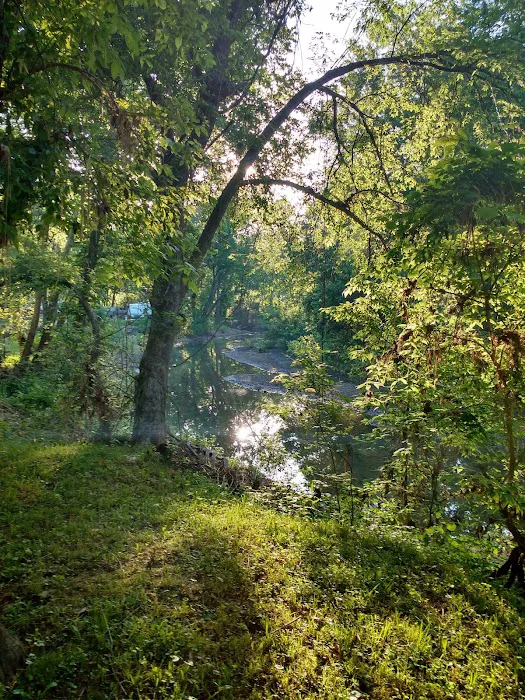 Country View Acres Picture 7