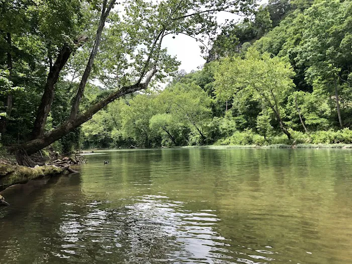 Boiling Spring Campground, LLC Picture 5