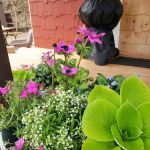 Piney Bend Riverfront