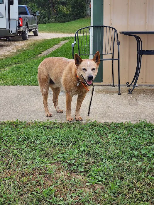 4-J Big Piney Horse Camp Picture 8