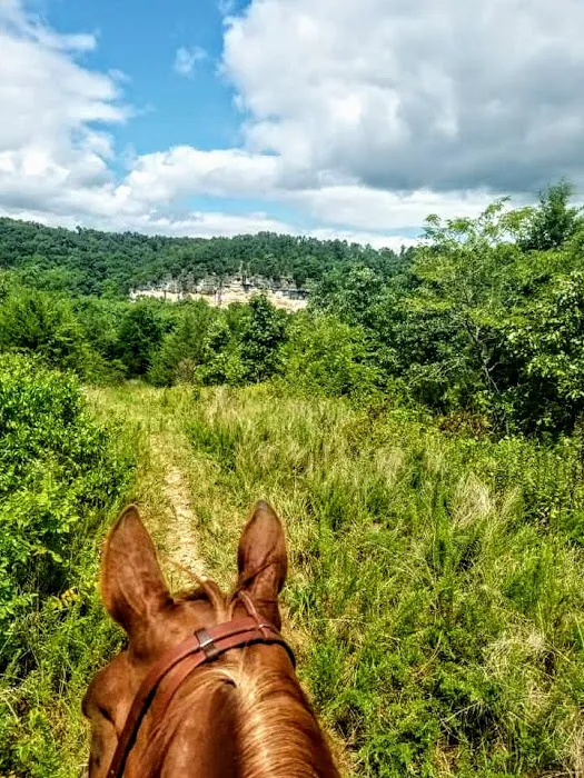 4-J Big Piney Horse Camp Picture 10