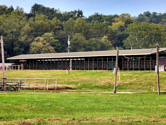 4-J Big Piney Horse Camp Picture 7