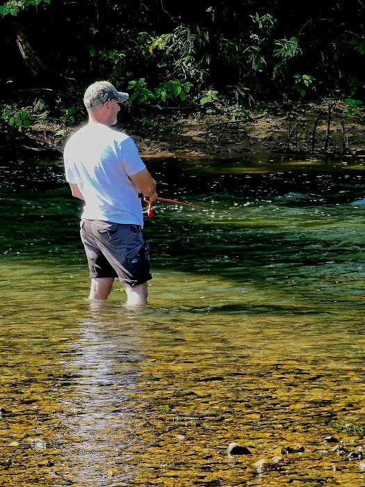 4-J Big Piney Horse Camp Picture 5