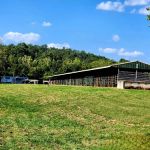 4-J Big Piney Horse Camp