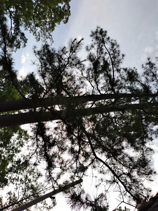 Twin Pines Campground Picture 5