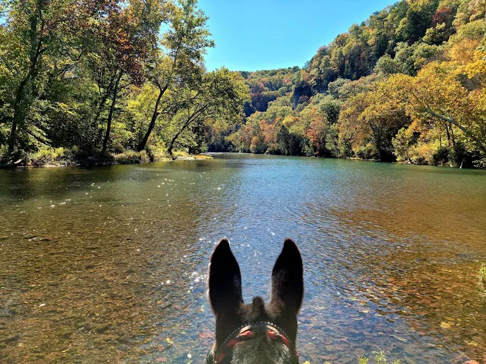 Slabtown Horse Camp LLC (formerly Slabtown Trail Rides) Picture 4