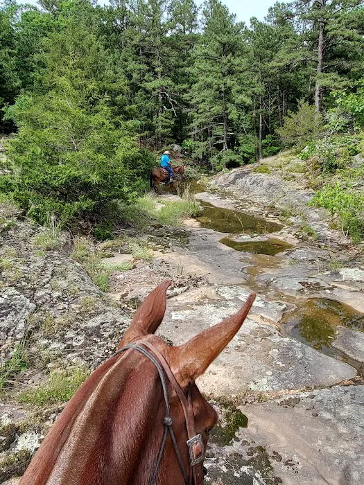 Slabtown Horse Camp LLC (formerly Slabtown Trail Rides) Picture 1