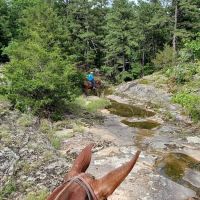Slabtown Horse Camp LLC (formerly Slabtown Trail Rides) ico