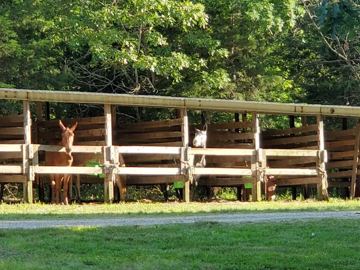Slabtown Horse Camp LLC (formerly Slabtown Trail Rides) Picture 2