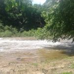 Griffin Park RV Park and Campground