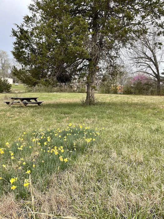 Suite Retreat Picture 3