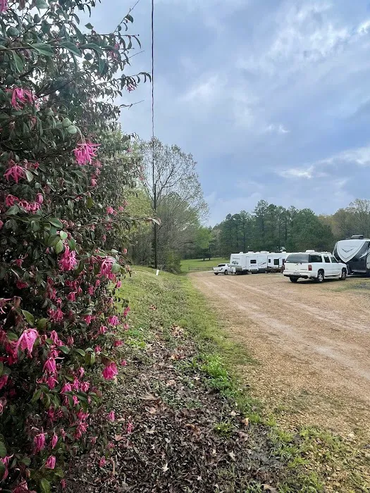 Sunrise Retreat RV Resort Picture 3